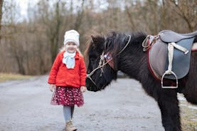 40 min paardrijden in de stad Lviv nabij het stalgebied