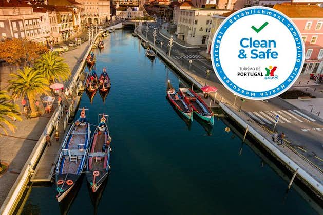 Aveiro halvdagstur med Moliceiro River Cruise från Porto