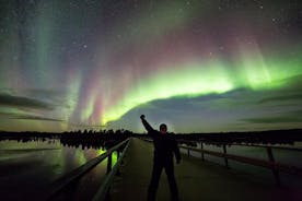 Caccia all'aurora boreale a Rovaniemi con falò e barbecue con trasferimento