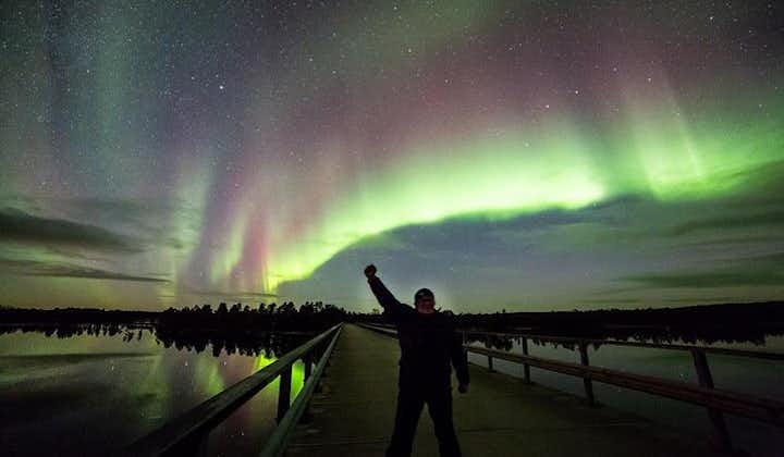 Rovaniemi Northern Light Jakt med lägereld och BBQ med transfer