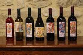 ブルニョーニ ワイナリーへのプライベート訪問と 4 種類のワインの試飲
