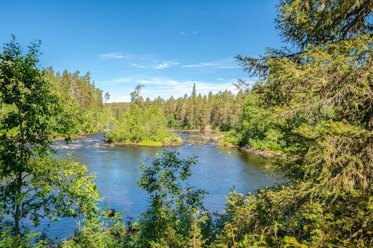 Photo of view to Oulankajoki River from the walking trail, Oulanka National Park, Kuusamo.