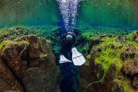 Silfra Fissure Ferskvanns dykkertur fra Reykjavik