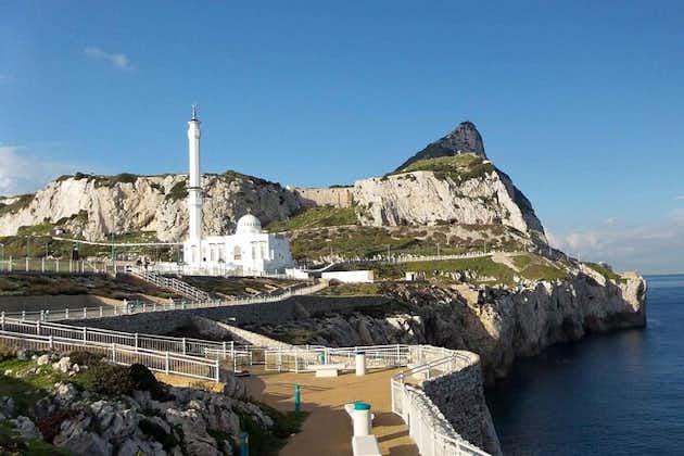 Gibraltar and Dolphins Cruise Day Trip from Costa del Sol