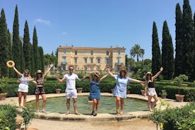 Excursion d'une demi-journée en petit groupe à la découverte des vins dans les châteaux de Montpellier