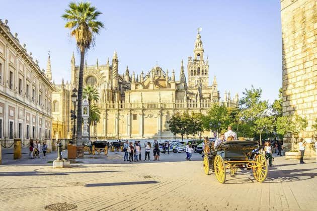 Sevilla En dagstur fra Granada, Alcazar, katedralen og guidet tur i Giralda.