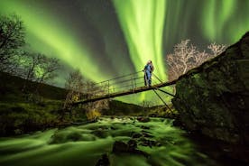 Nordlicht-Abenteuer mit Grönländer, max. 8 Personen