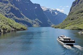 Selvguidet dagstur til Flåm - inkl Premium Nærøyfjord Cruise & Flåm Railway