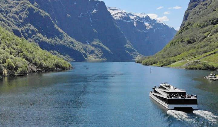 Self-guided day tour to Flåm - incl Premium Nærøyfjord Cruise & Flåm Railway