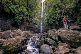 Balade à pied à Levada Rabaçal et à la cascade de 25 Fontes