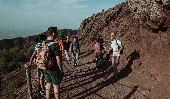 Mount Vesuvius tour from Pompeii led by an hiking guide