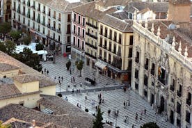 Granadas arv privat rundtur i Albaicín, Sacromonte och Sagrario