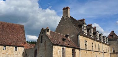 Excursión de medio día por los viñedos Cote de Nuits desde Dijon