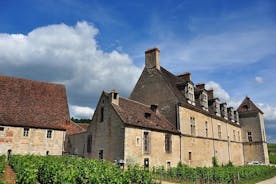 Excursión de medio día por los viñedos Cote de Nuits desde Dijon
