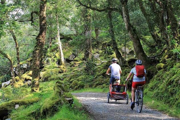 Ciclismo en el Parque Nacional de Glenveagh. Donegal. Autoguiado. 3 horas.