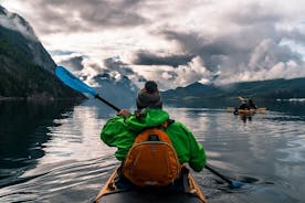 Excursion de 6 jours en kayak dans le fjord en Norvège