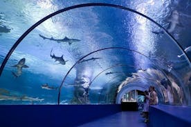 Aquarium and Face to Face Wax Museum in Antalya