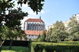 4 hour Private Walking Tour in City of Prague 