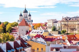 Tallinn dagstur fra Helsingfors