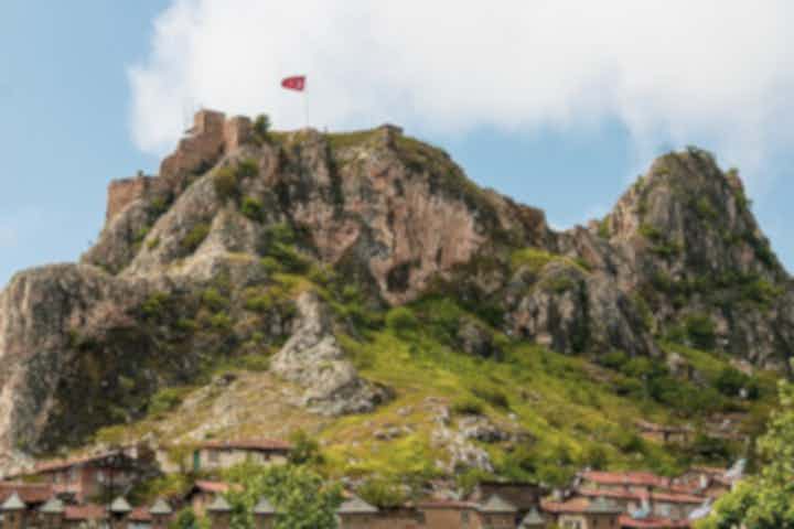 Vuelos de Podgorica, Montenegro a Tokat, Turquía