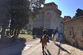 Passeggiata a cavallo e degustazione di vini con light lunch in una tenuta storica