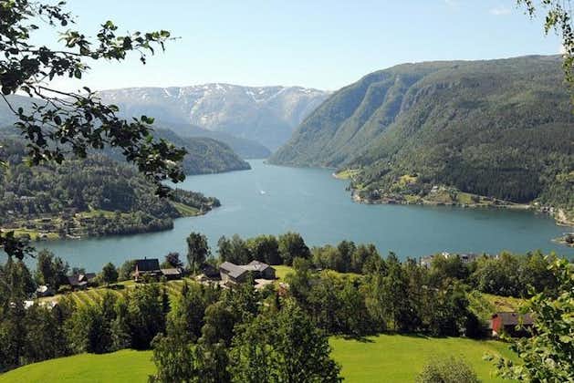 Private day tour - Eidfjord, Vøringsfoss Waterfall & Hardanger Fjord Cruise