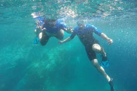 Snorkling med delfiner på Azorene