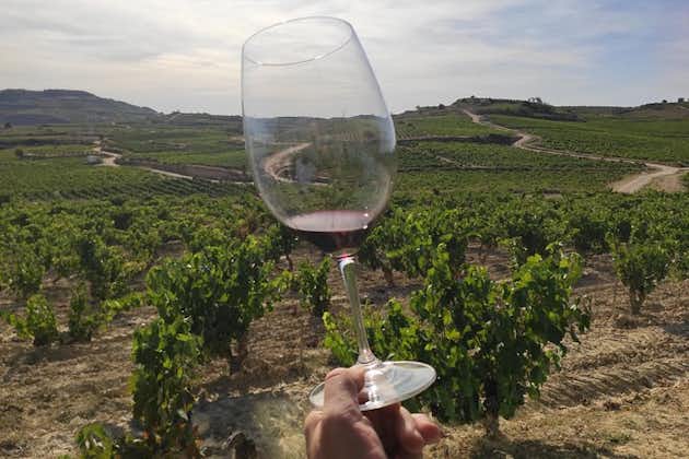 Visite des vins de la Rioja : cave et déjeuner traditionnel de Pampelune
