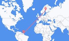 Flyreiser fra Cayenne, Frankrike til Vasa, Finland