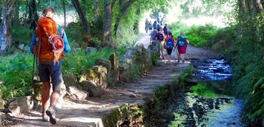 Excursão de 7 dias ao Caminho Francês de Santiago de Sarria