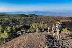 Private and Guided Tour on Etna with Wine Tasting included