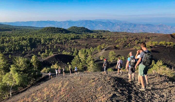 Private and Guided Tour on Etna with Wine Tasting included
