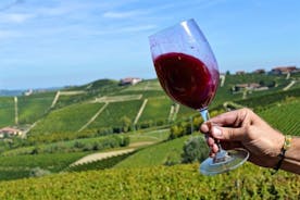 Piemonte Vineyards by Yourself 从都灵乘坐豪华面包车和英国司机