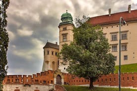 Krakow - Wawel Sightseeing of the Royal Hill