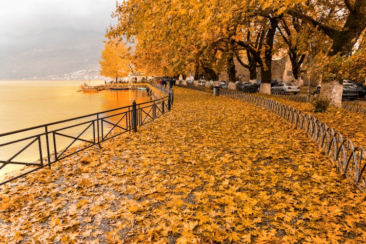 Photo of autumn colors in Ioannina city ,Epirus, Greece.