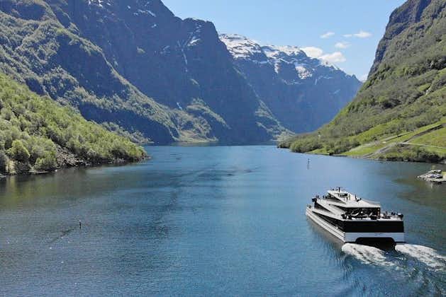 Private guided Flåm day tour - incl Premium Nærøyfjord Cruise and Flåm Railway 