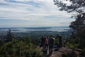 Promenades dans la nature d'Oslo : forêt et fjord