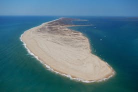 Ria Formosa: 3-stündige Tour mit Stopps bei Ilha da Culatra und Ilha da Armona