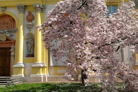 维拉诺夫宫的步行音频之旅