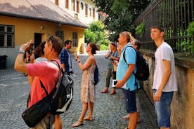 Tour giornaliero della città di Sibiu