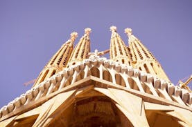 Tour guidato della Sagrada Familia con biglietto salta fila