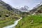 Pfyn-Finges Nature Park, Salgesch, Leuk, Valais/Wallis, Switzerland