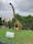 Dinopark "Zateryannyy Mir", Sochi, Resort Town of Sochi (municipal formation), Krasnodar Krai, Адлерский внутригородской район, Russia, Southern Federal District