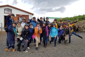 Tour a caballo de lava roja desde Reikiavik
