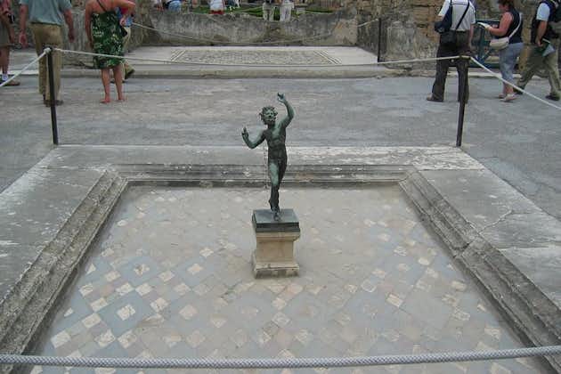 De Naples - Profitez de la visite en voiture de Pompéi avec un guide archéologique officiel -