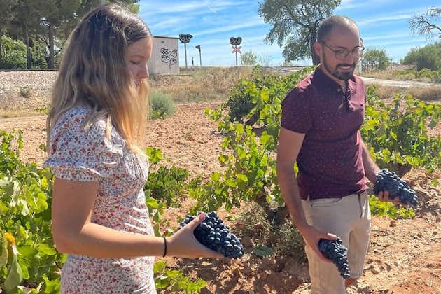 ウティエル - レケナ エクスカーション : バレンシアのワインの味を発見する