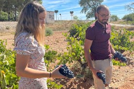 Utiel-Requena-udflugt: Afdække smagen af Valencias vin