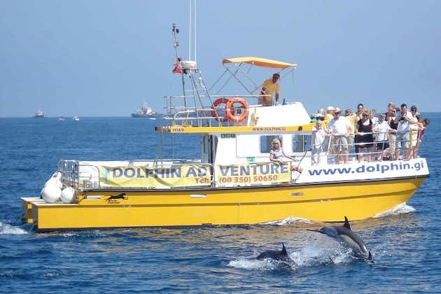 海豚在直布罗陀观看游览