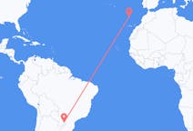 Flyreiser fra Puerto Iguazú, Argentina til Funchal, Portugal