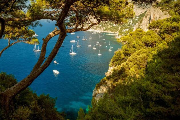 Heldags privat tur til Capri og Anacapri fra Sorrento
